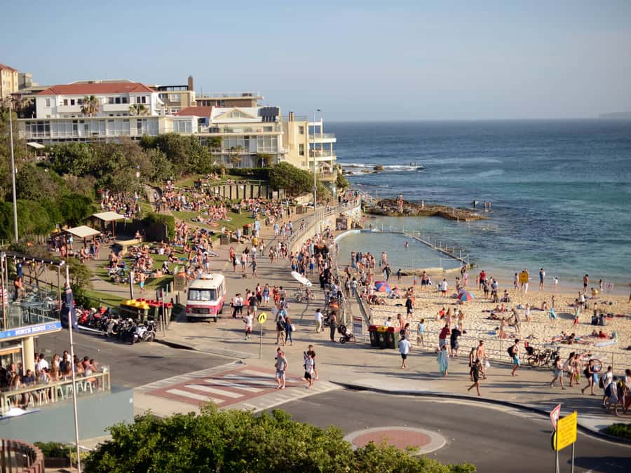 Sydney: City Highlights Guided Bus Tour - Key things I’d plan around