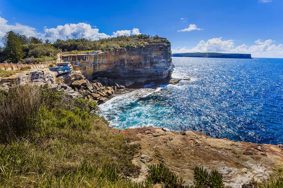 Sydney: City Highlights Private Half-Day Tour - Key tour highlights to know before you go