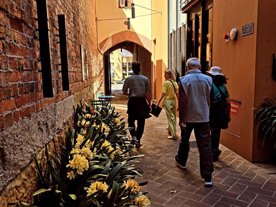Sydney: City Sights Walking Tour - How the guide experience shapes the walk