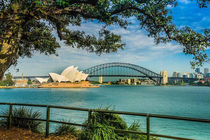 Sydney Combo: Morning Sightseeing to Bondi & Harbour Lunch Cruise - Mrs Macquarie’s Chair: the Opera House and Bridge Close-Up