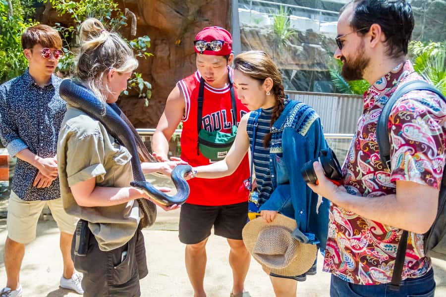 Sydney: Combo Pass for 2, 3, or 4 Top City Attractions - Key things I’d circle before you book