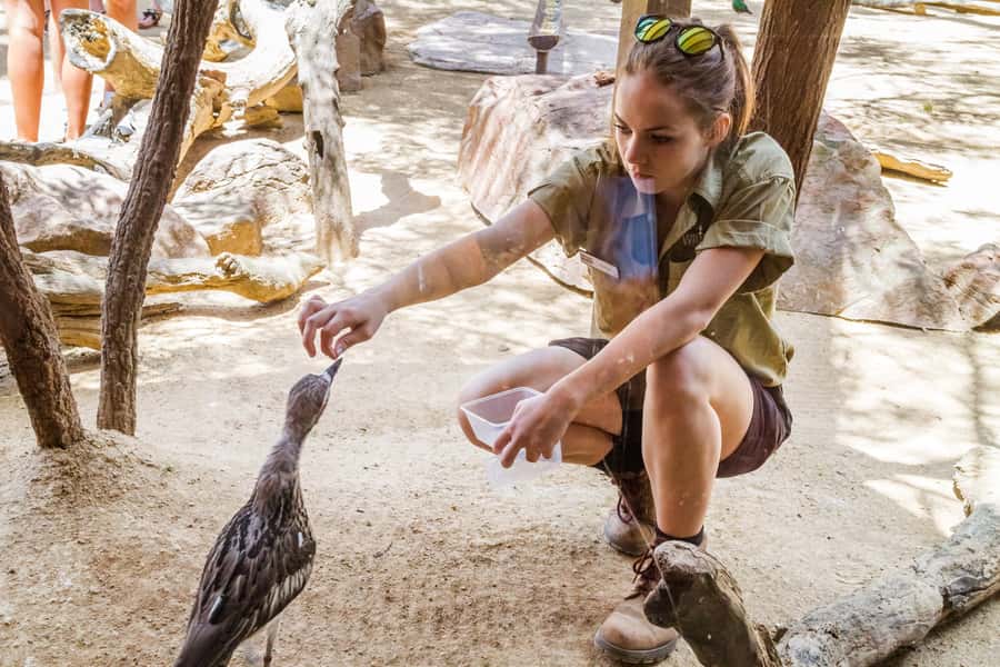 Sydney: Combo Pass for 2, 3, or 4 Top City Attractions - Stop 1: SEALIFE Sydney Aquarium at Darling Harbour