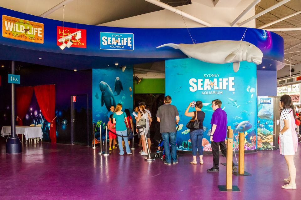 Sydney: Combo Pass for 2, 3, or 4 Top City Attractions - Stop 2: Wild Life Sydney for koalas, kangaroos, and a giant croc