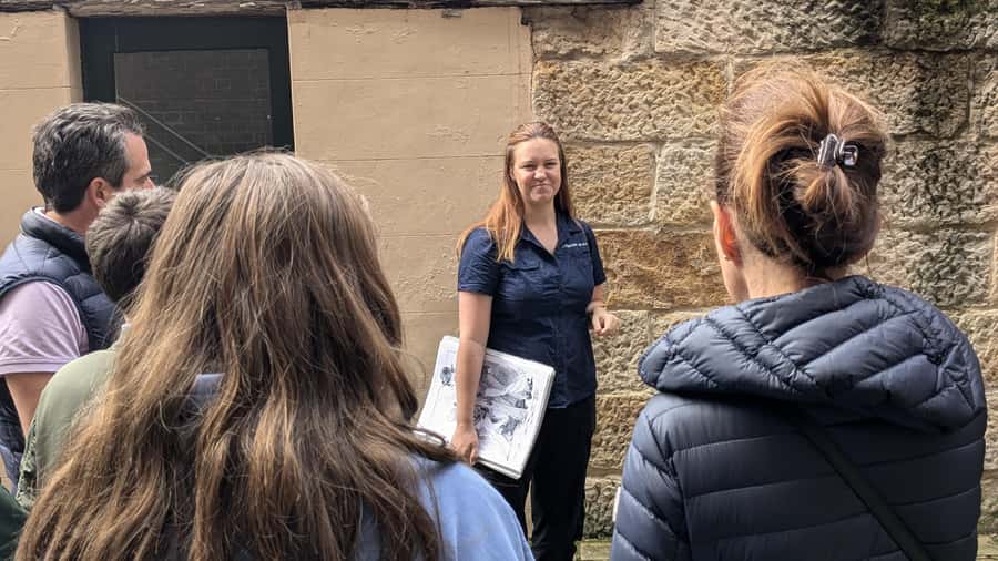Sydney Convicts, History & The Rocks 2.5-Hour Walking Tour - Customs House Library: the best place to start if you want meaning