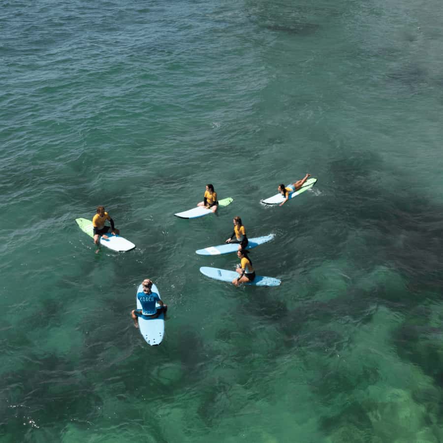 Sydney: Dee Why Beach Group Surfing Lesson - Who This Surf Lesson Is For