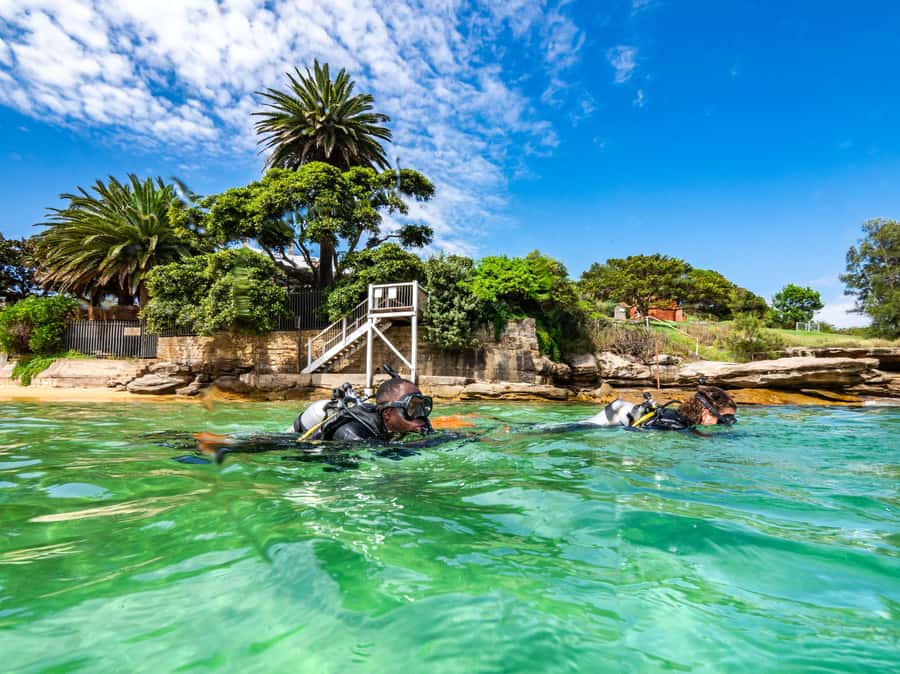 Sydney: Discover Scuba Dive at Australia's most Iconic Beach - Bondi’s Meeting Point and Why This Starts Strong