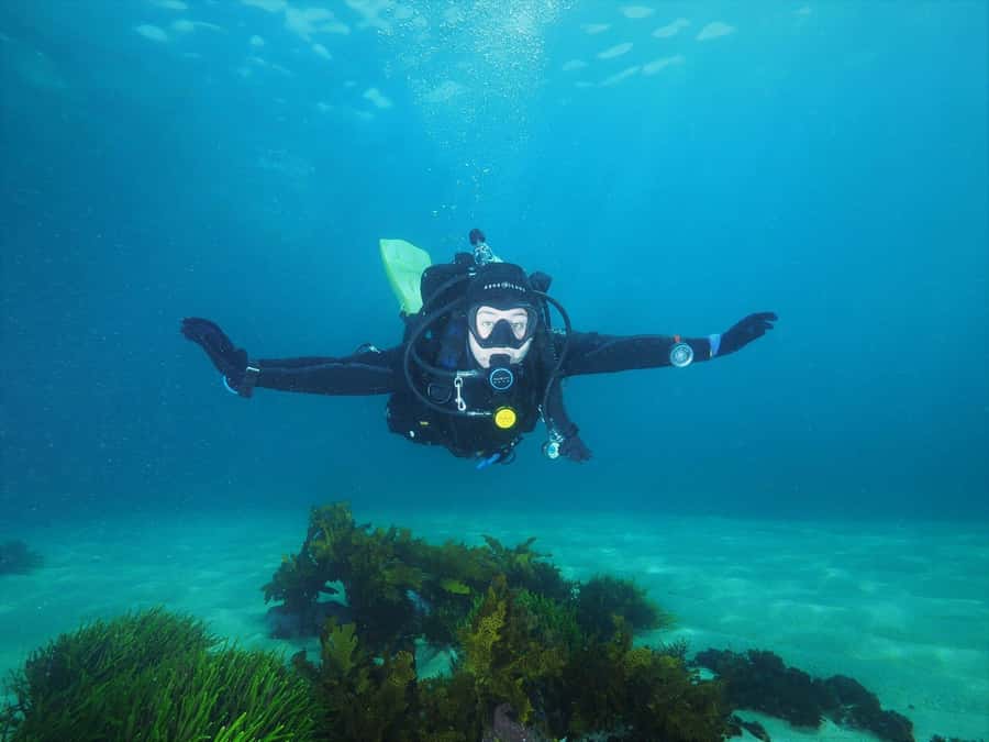Sydney: Discover Scuba Dive at Australia's most Iconic Beach - What’s Included (and What You’ll Need to Plan Yourself)