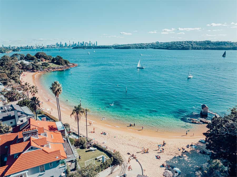 Sydney: Discover Scuba Dive at Australia's most Iconic Beach - Who This Is Perfect For (and Who Should Rethink It)