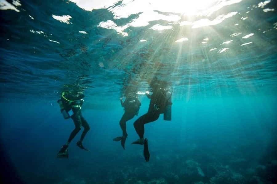 Sydney: Discover Scuba Dive at Australia's most Iconic Beach - The PADI Setup: Theory, Medical Check, and Forms That Matter