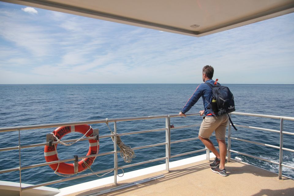 Sydney: Discovery Whale Watching Tour by Catamaran - Should you book this Sydney whale tour?