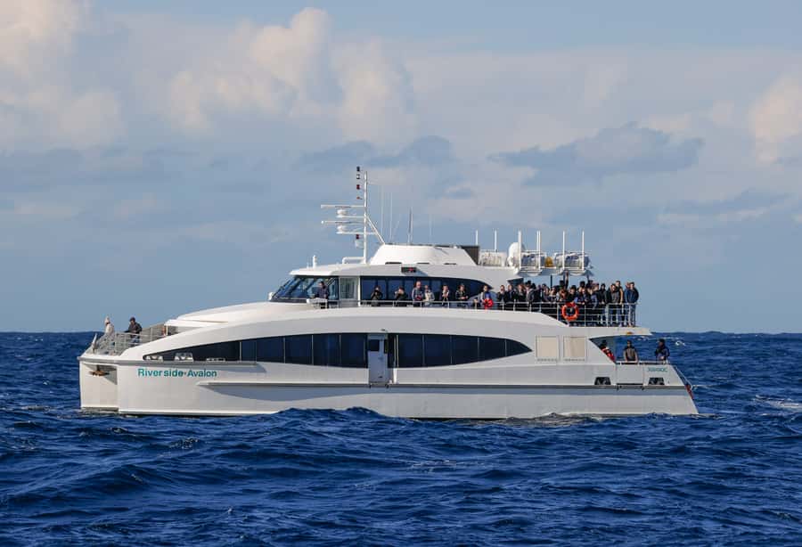 Sydney: Discovery Whale Watching Tour by Catamaran - FAQ