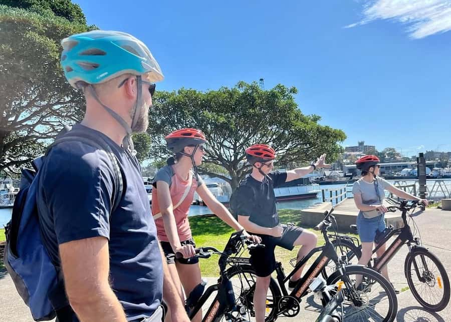 Sydney: Electric Bike Rental & Wheel Explorer Audio Guide - Chinatown to Chinese Garden of Friendship, then Barangaroo’s modern edge