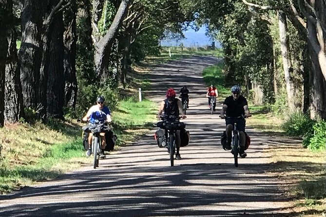 Sydney Electric Mountain Bike Guided Tour - Who this is best for (and who should think twice)