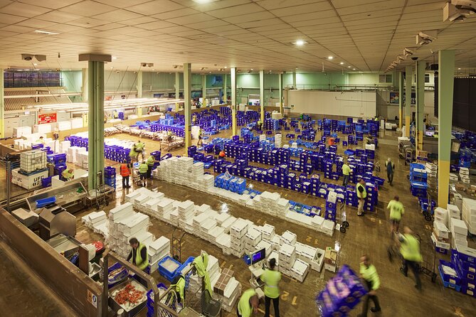 Sydney Fish Market Behind the Scenes Tour - Key things you’ll remember