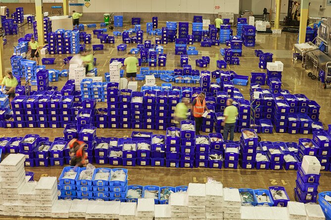 Sydney Fish Market Behind the Scenes Tour - Price and Value: Is $56 Worth It?