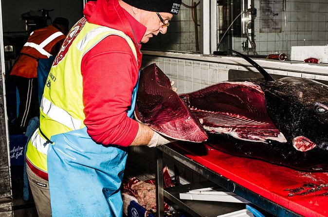 Sydney Fish Market Discovery Tour - Walking the new market building: what modern design changes for buyers