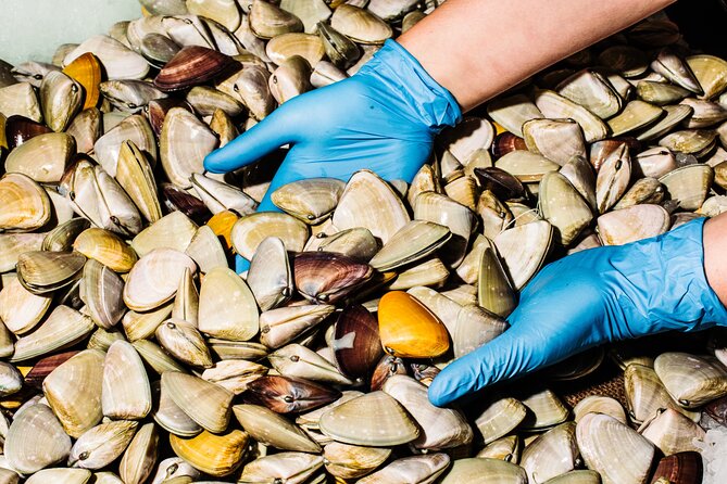 Sydney Fish Market Discovery Tour - What does a fishmonger do? The tour’s most useful mindset shift