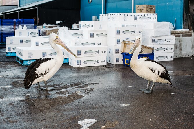 Sydney Fish Market Discovery Tour - Meeting at Bridge Road and getting oriented in the Information Hub