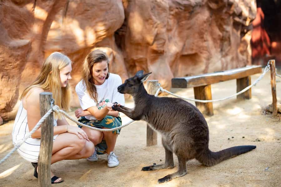 Sydney: Flexi Pass - Pick 3, 5 or 7 Experiences - High-energy add-ons: jet boating, biking, and archery