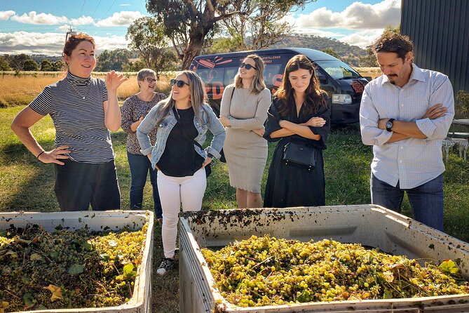 Sydney Grains and Grapes Hunter Valley Wine and Beer with Lunch - Key things to know before you go