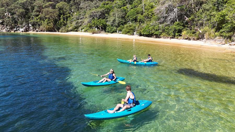 Sydney: Guided Kayak Taster Tour from Manly - Key Highlights You’ll Actually Care About