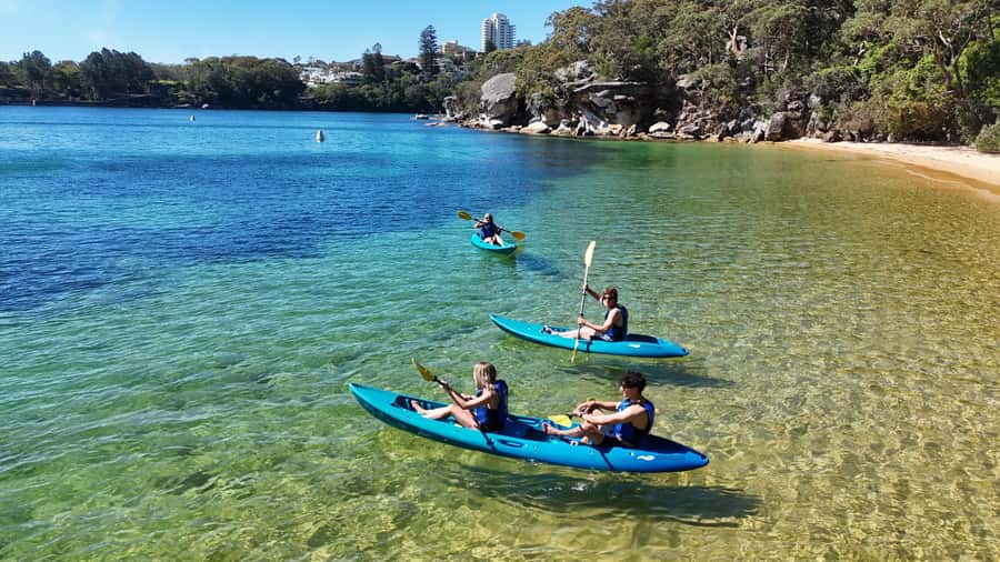 Sydney: Guided Kayak Taster Tour from Manly - Price and Value Check: What $46 Buys You in Real Terms