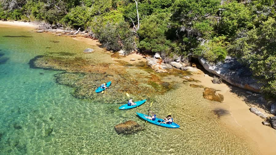 Sydney: Guided Kayak Taster Tour from Manly - Why a Manly Kayak Taster Works for First-Timers