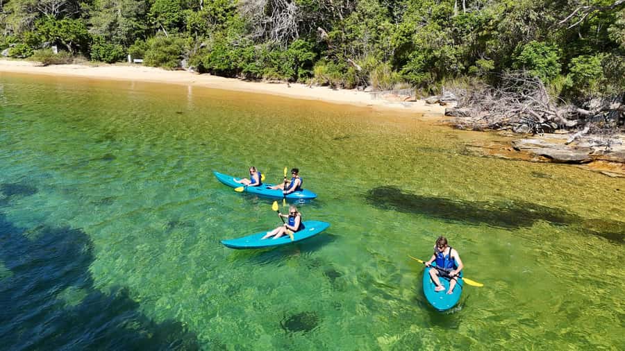 Sydney: Guided Kayak Taster Tour from Manly - The 10-Minute Safety Briefing That Makes the Paddle Smoother