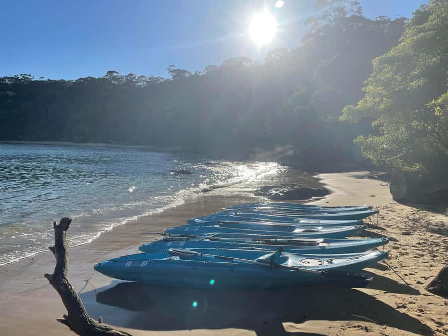 Sydney: Guided Kayak Taster Tour from Manly - Paddle Along Manly’s Shoreline to Store Beach