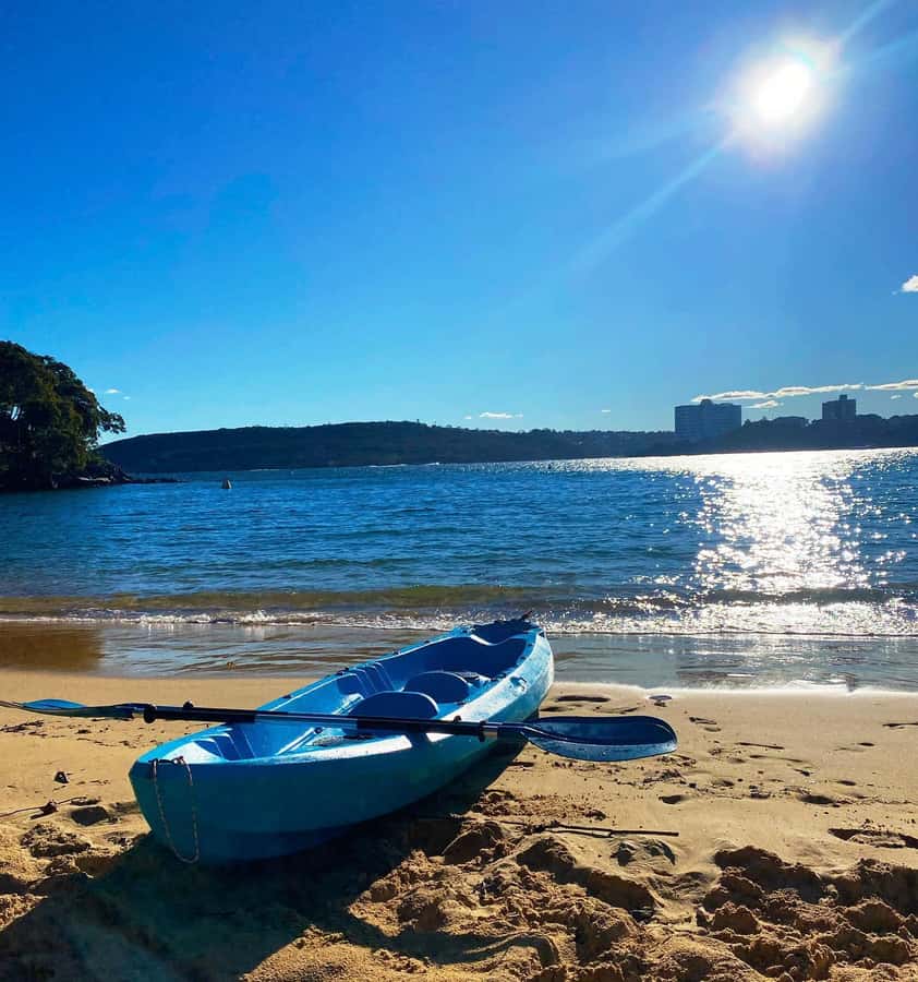 Sydney: Guided Kayak Taster Tour from Manly - The Short Speedboat Stretch and Why It’s Smart