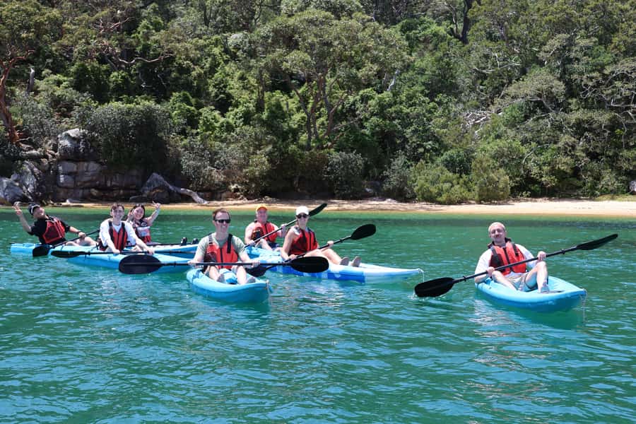 Sydney: Guided Kayak Taster Tour from Manly - Your Secluded Beach Hour: Relax, Cafe, Museum, or Keep Paddling