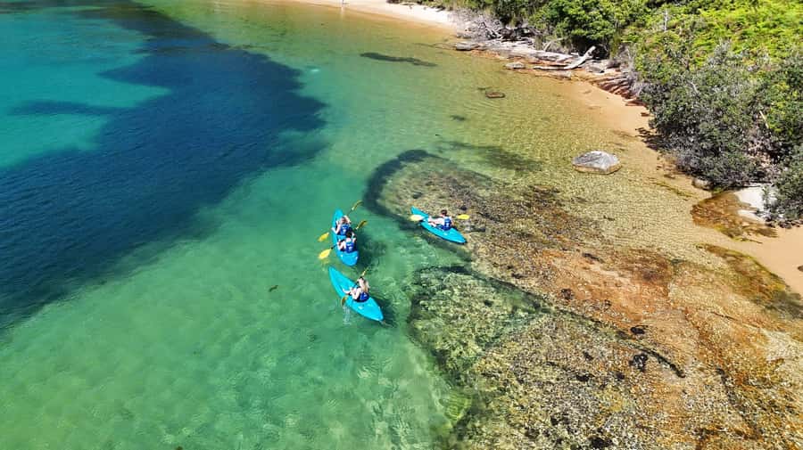 Sydney: Guided Kayak Taster Tour from Manly - Tow-Home Plan: The Stress Reducer for Learning Days