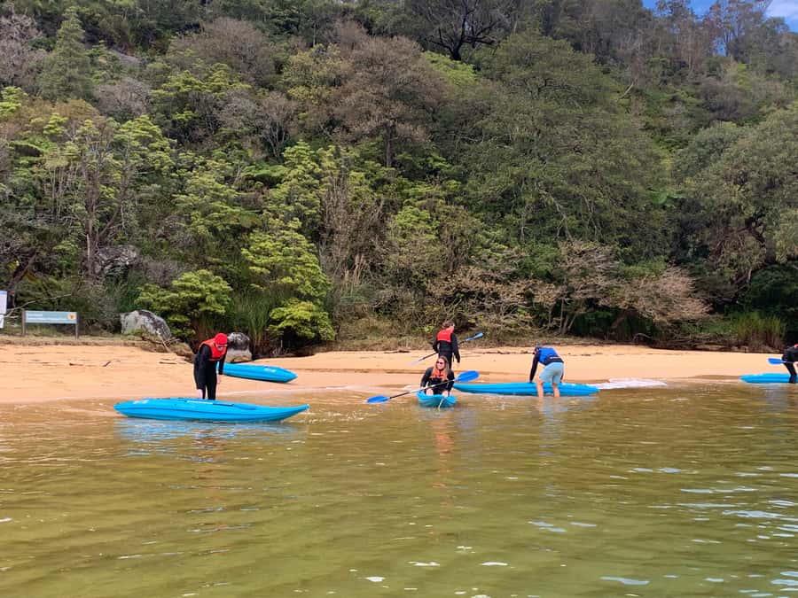 Sydney: Guided Kayak Taster Tour from Manly - What You Get, and What You Should Bring