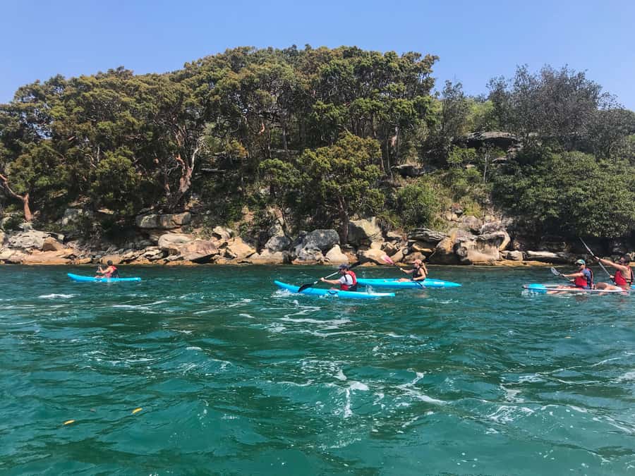 Sydney: Guided Kayak Tour of Manly Cove Beaches - Your Kayak Setup: Single vs Double Sit-on-Top (And What That Changes)