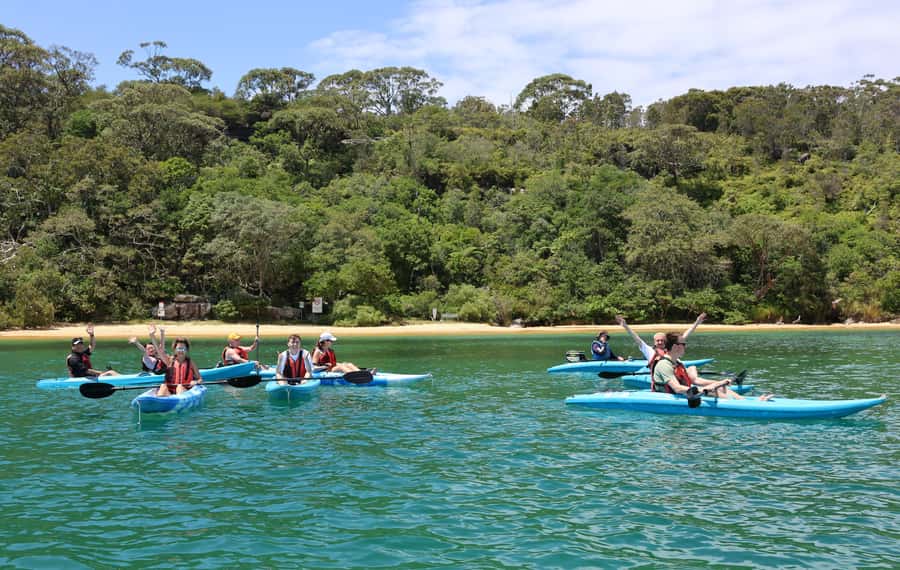 Sydney: Guided Kayak Tour of Manly Cove Beaches - Paddling Past Caves and Mini-Waterfalls Around Manly