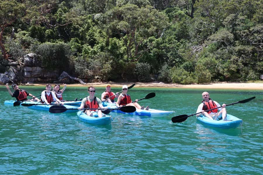 Sydney: Guided Kayak Tour of Manly Cove Beaches - Skill Level in Real Life: Gentle Pace, Real Safety, No Drama