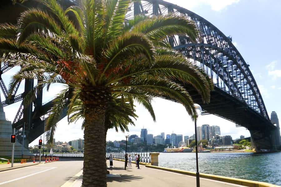 Sydney: Half-Day City Tour - The Rocks to Mrs Macquarie’s Chair: where Sydney tells its founding story