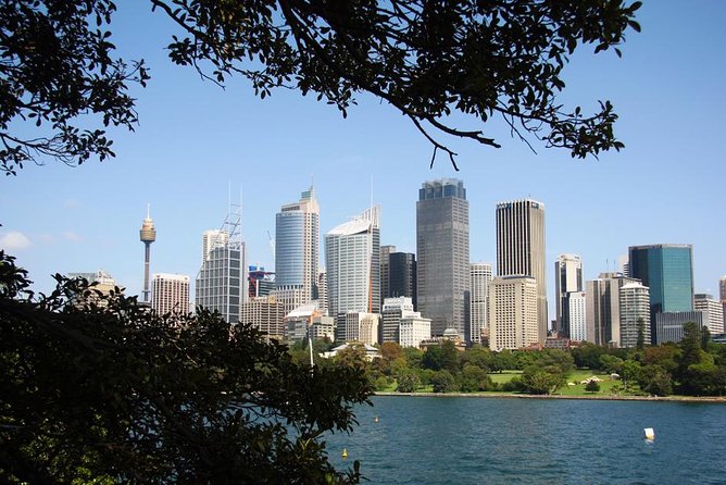 Sydney Half Day Private Tour: See Sydney Opera House and Bondi - Key takeaways before you go