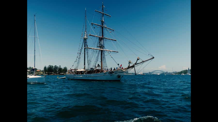Sydney: Harbor Sunset Cruise with Dinner - How the 1.5-hour cruise works at twilight
