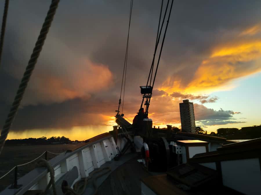 Sydney Harbor Tall Ship Wine & Canapés Evening Cruise - A real tall ship night on Sydney Harbour (not just another boat tour)