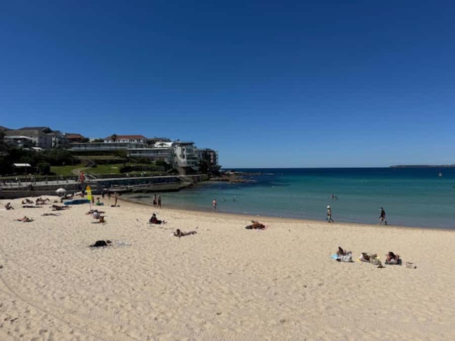 Sydney Harbour & Bondi: Morning Highlights with Breakfast - The small-group setup: luxury comfort plus a human pace