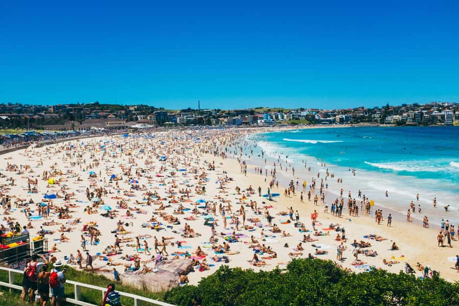 Sydney Harbour & Bondi: Morning Highlights with Breakfast - Rose Bay breakfast by the water: included, relaxed, and worth it