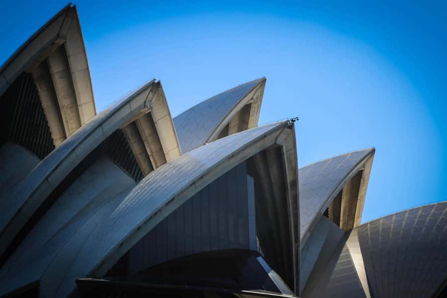 Sydney: Harbour Highlights & Aussie Bites Catamaran Cruise - The skipper-led approach: no guided tour, but real-time stories