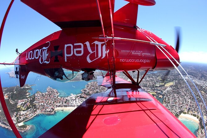 Sydney Harbour Joy Flight in the Pitts Special - Booking smart: mobile ticket, confirmation timing, and small-group feel