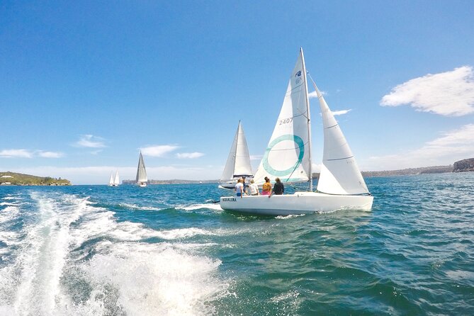 Sydney Harbour - Sailing Hands-On Experience - Views, wildlife, and the Manly-to-harbor rhythm