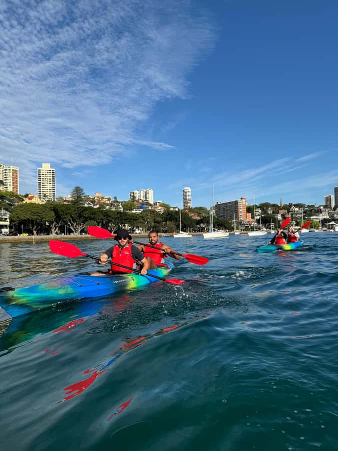 Sydney: Harbour Sunrise Kayak Tour - Meeting points at d’Albora Marinas and New Beach Rd: how to avoid stress