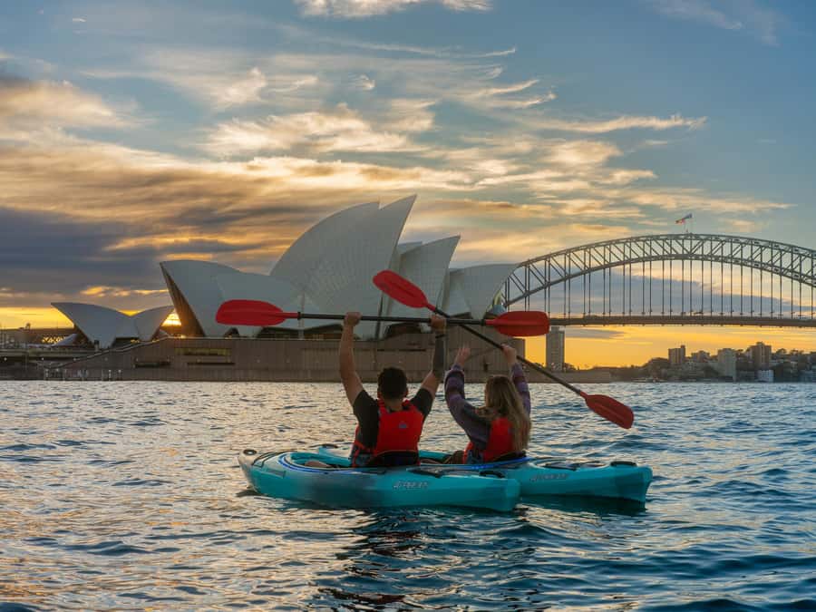 Sydney: Harbour Sunrise Kayak Tour - Dolphin and whale spotting: how to keep expectations fair