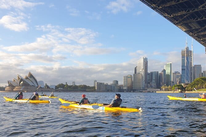 Sydney Harbour Sunset Dinner Paddle - Shark Island dinner: the picnic that turns a paddle into a full outing