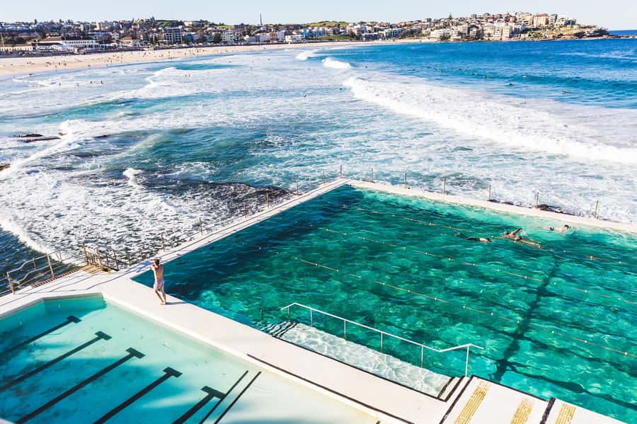 Sydney Harbour to Bondi: Small Group Half–Day Experience - QVB, Centre Point, and Darling Harbour energy: the city’s pulse