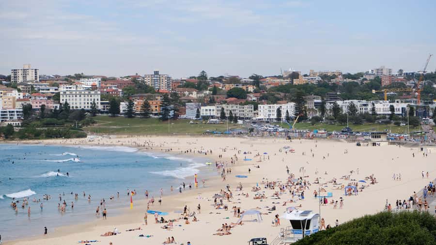 Sydney Harbour to Bondi: Small Group Half–Day Experience - Dover Heights and the coastal cliff route: Bondi without the guesswork